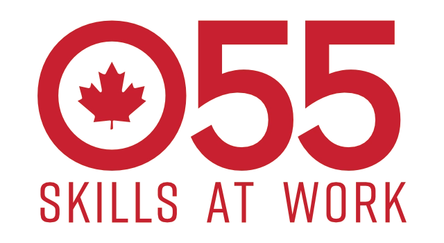 Over 55 Skills At Work